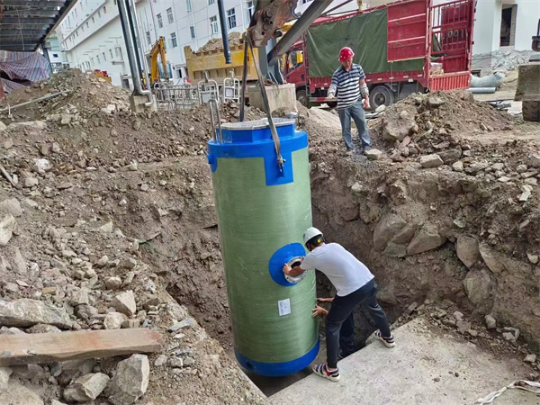 一体化泵站 (8).jpg